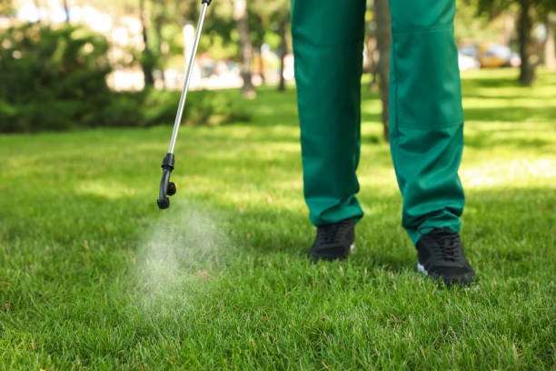 Best Pest Removal Services  in Harris Hill, NY