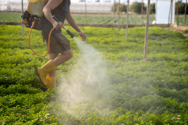 Best Best Pest Control Companies  in Harris Hill, NY