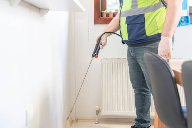 Best Local Pest Control Services  in Harris Hill, NY