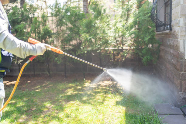 Best Residential Pest Control  in Harris Hill, NY