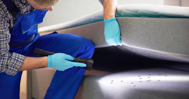 Best Commercial Pest Control Services  in Harris Hill, NY