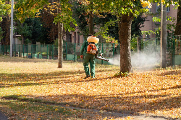 Best Termite Control Services  in Harris Hill, NY