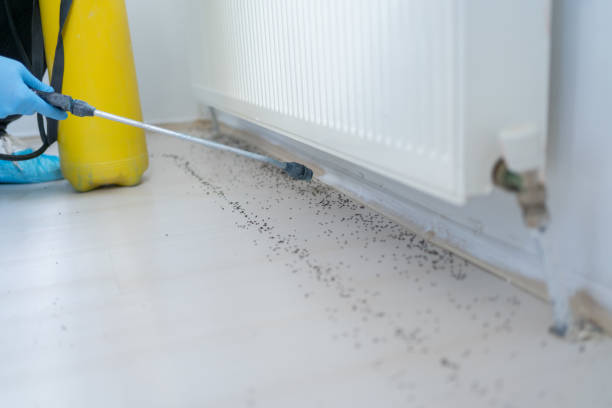 Best Wildlife Control Services  in Harris Hill, NY