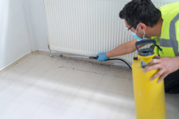 Best Best Pest Control Companies  in Harris Hill, NY